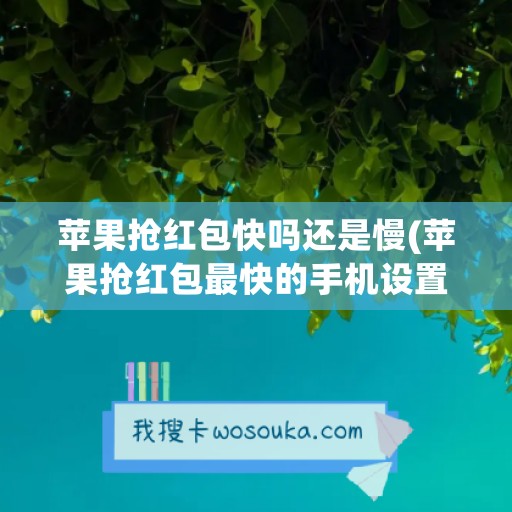 苹果抢红包快吗还是慢(苹果抢红包最快的手机设置在哪里)