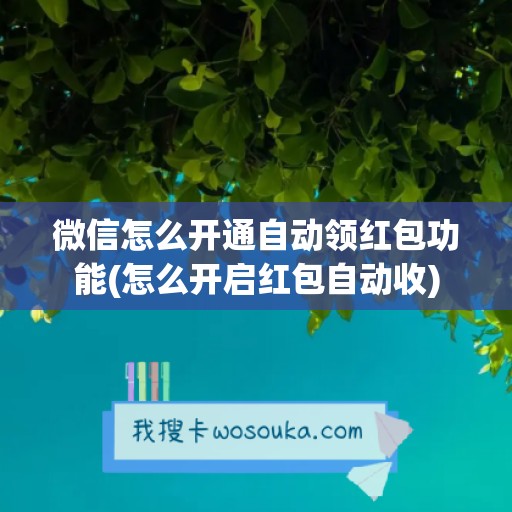 微信怎么开通自动领红包功能(怎么开启红包自动收)