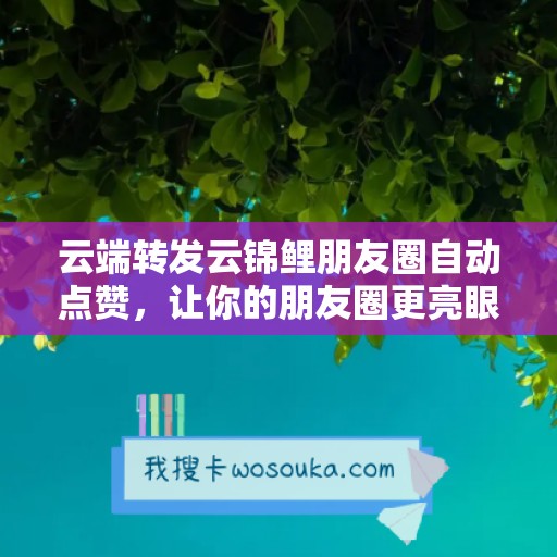 云端转发云锦鲤朋友圈自动点赞，让你的朋友圈更亮眼！