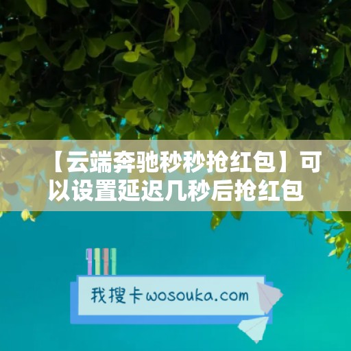 【云端奔驰秒秒抢红包】可以设置延迟几秒后抢红包