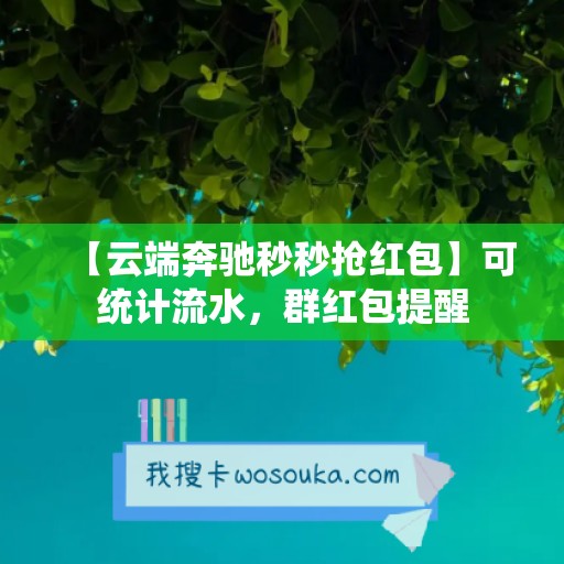 【云端奔驰秒秒抢红包】可统计流水，群红包提醒