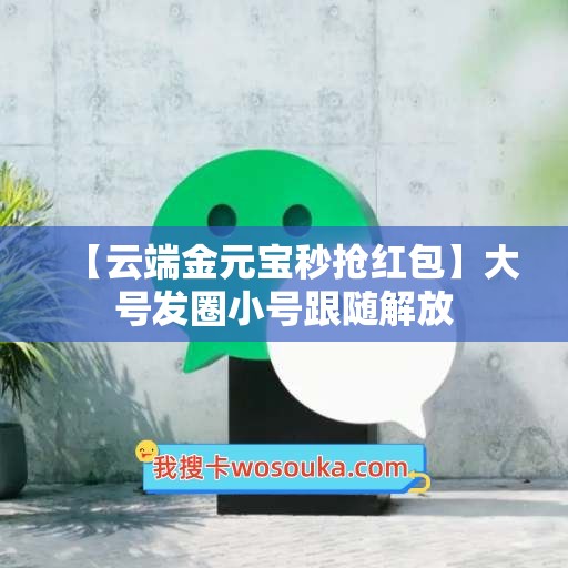 【云端金元宝秒抢红包】大号发圈小号跟随解放