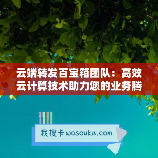 云端转发百宝箱团队：高效云计算技术助力您的业务腾飞