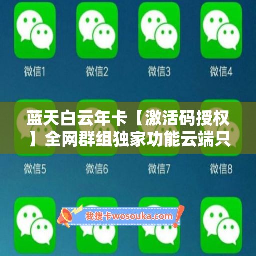 蓝天白云年卡【激活码授权】全网群组独家功能云端只能操作