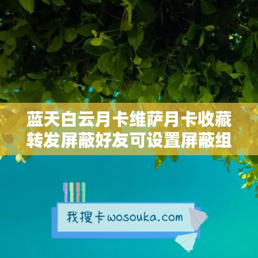 蓝天白云月卡维萨月卡收藏转发屏蔽好友可设置屏蔽组免打扰客户