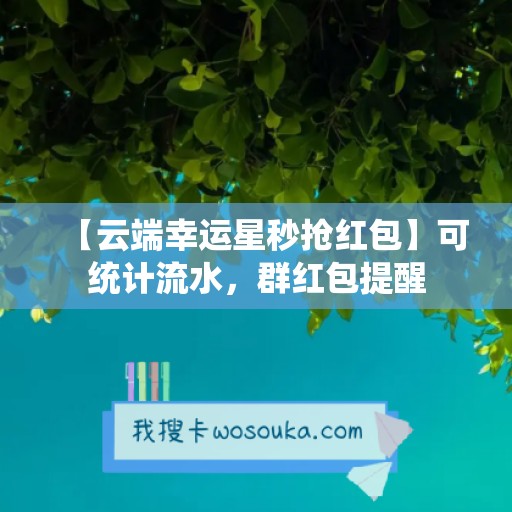 【云端幸运星秒抢红包】可统计流水，群红包提醒