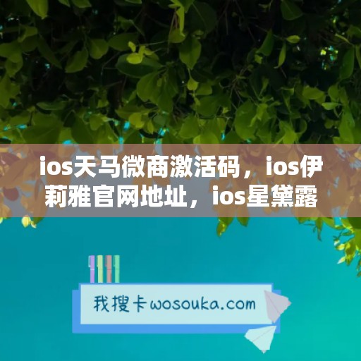 ios天马微商激活码，ios伊莉雅官网地址，ios星黛露使用教程