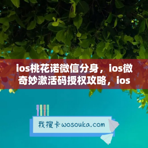 ios桃花诺微信分身，ios微奇妙激活码授权攻略，ios美羊羊如何下载