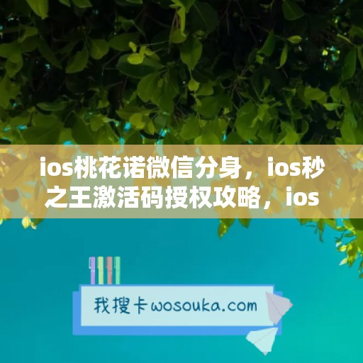 ios桃花诺微信分身，ios秒之王激活码授权攻略，ios美羊羊如何下载