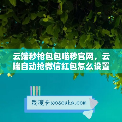 云端秒抢包包喵秒官网，云端自动抢微信红包怎么设置的呢