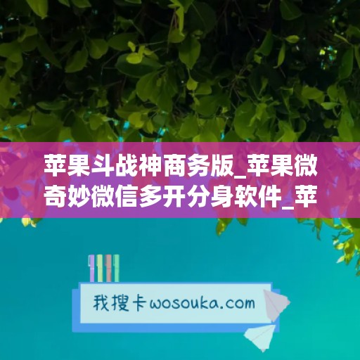 苹果斗战神商务版_苹果微奇妙微信多开分身软件_苹果天马微商如何下载