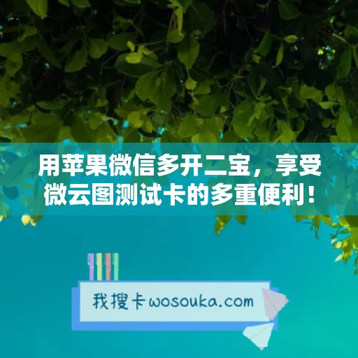 用苹果微信多开二宝，享受微云图测试卡的多重便利！