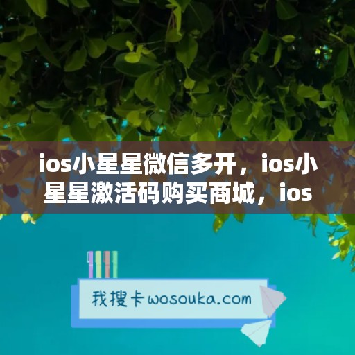 ios小星星微信多开，ios小星星激活码购买商城，ios大熊猫如何下载