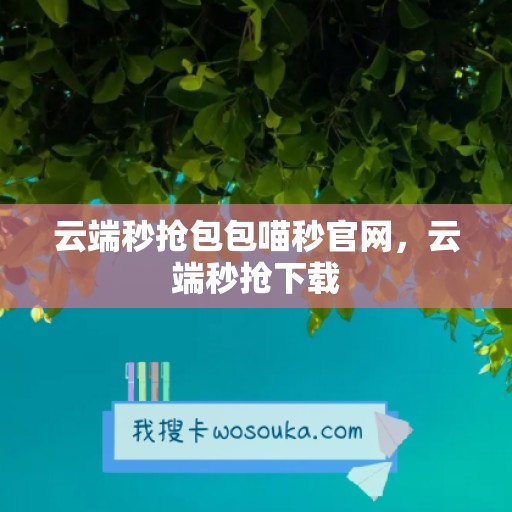 云端秒抢包包喵秒官网，云端秒抢下载