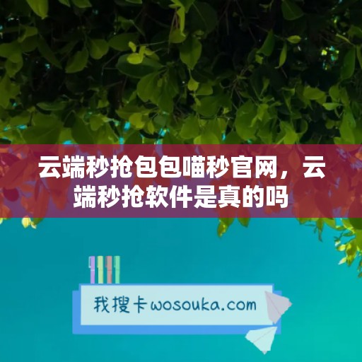 云端秒抢包包喵秒官网，云端秒抢软件是真的吗