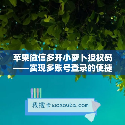 苹果微信多开小萝卜授权码——实现多账号登录的便捷工具