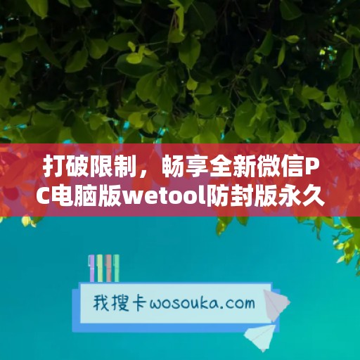 打破限制，畅享全新微信PC电脑版wetool防封版永久卡