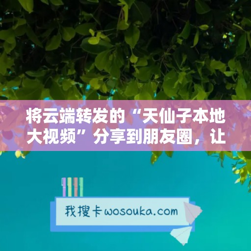 将云端转发的“天仙子本地大视频”分享到朋友圈，让生活更精彩