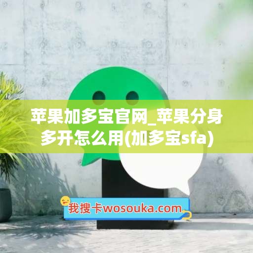 苹果加多宝官网_苹果分身多开怎么用(加多宝sfa)