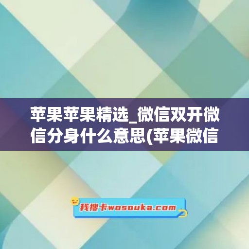 苹果苹果精选_微信双开微信分身什么意思(苹果微信双开有啥风险)