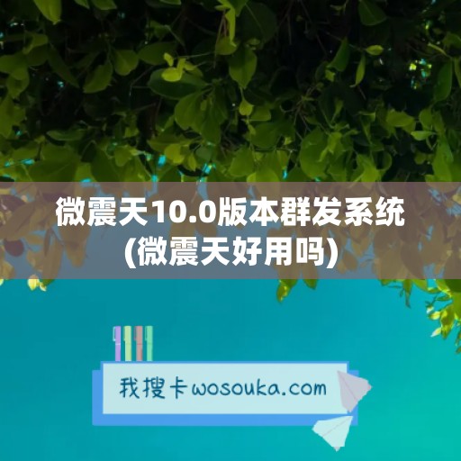 微震天10.0版本群发系统(微震天好用吗)
