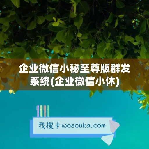 企业微信小秘至尊版群发系统(企业微信小休)