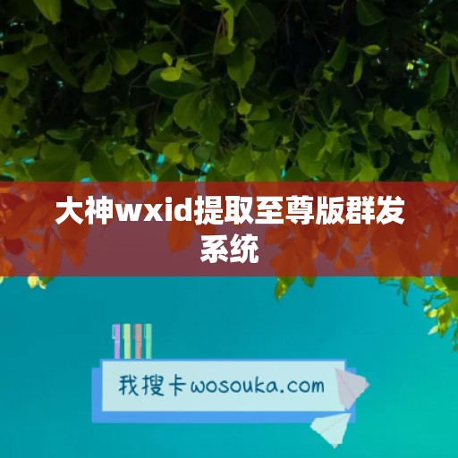 大神wxid提取至尊版群发系统