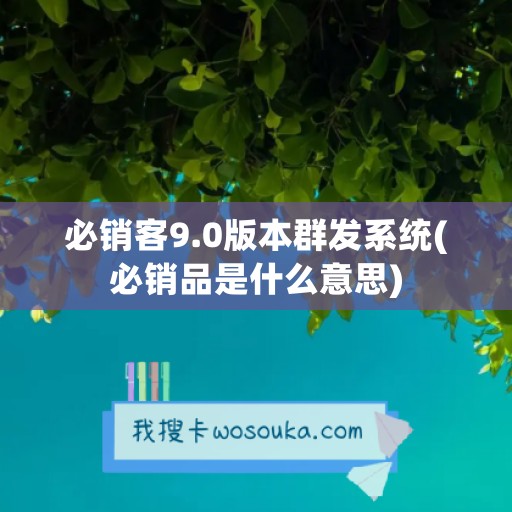 必销客9.0版本群发系统(必销品是什么意思)