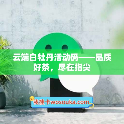 云端白牡丹活动码——品质好茶，尽在指尖