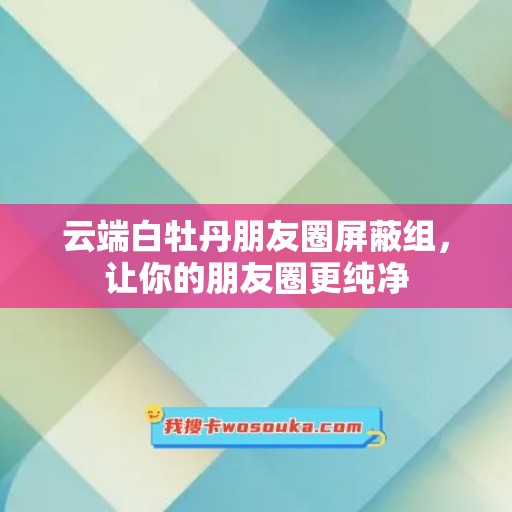 云端白牡丹朋友圈屏蔽组，让你的朋友圈更纯净