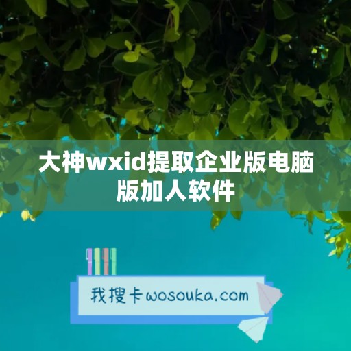 大神wxid提取企业版电脑版加人软件