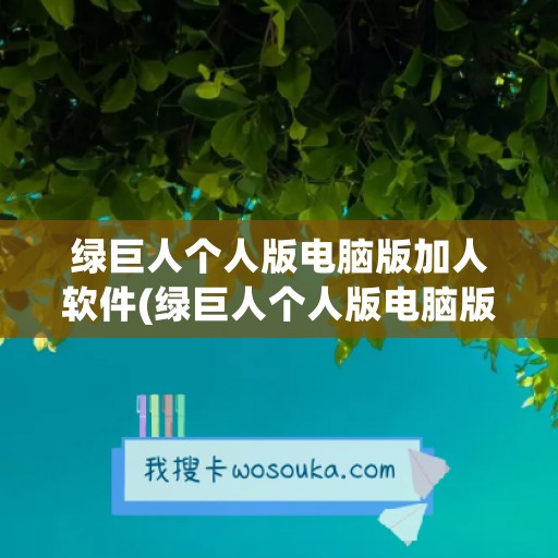 绿巨人个人版电脑版加人软件(绿巨人个人版电脑版加人软件是什么)