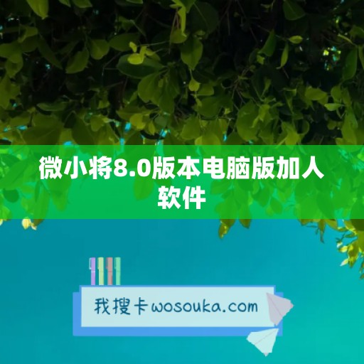 微小将8.0版本电脑版加人软件