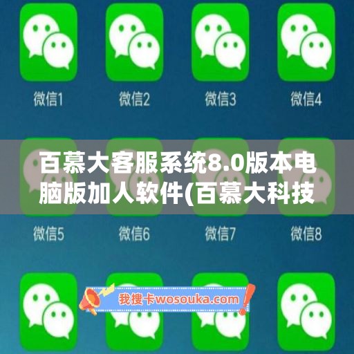百慕大客服系统8.0版本电脑版加人软件(百慕大科技有限公司)