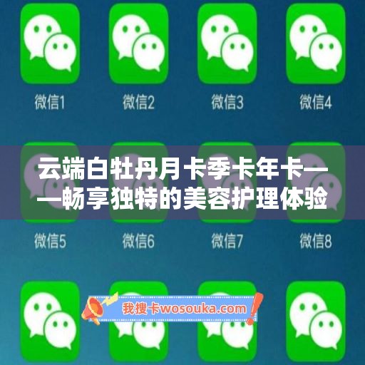 云端白牡丹月卡季卡年卡——畅享独特的美容护理体验