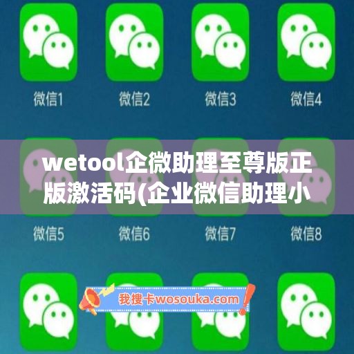 wetool企微助理至尊版正版激活码(企业微信助理小薇在哪里)