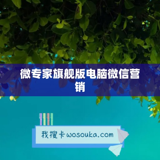 微专家旗舰版电脑微信营销