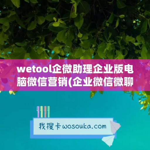 wetool企微助理企业版电脑微信营销(企业微信微聊助手)