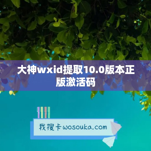 大神wxid提取10.0版本正版激活码