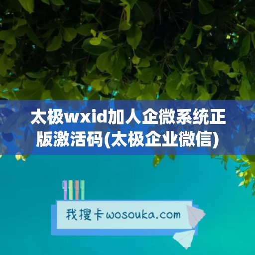 太极wxid加人企微系统正版激活码(太极企业微信)