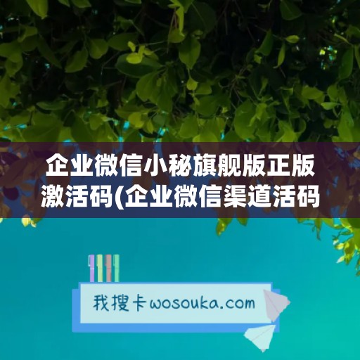 企业微信小秘旗舰版正版激活码(企业微信渠道活码)