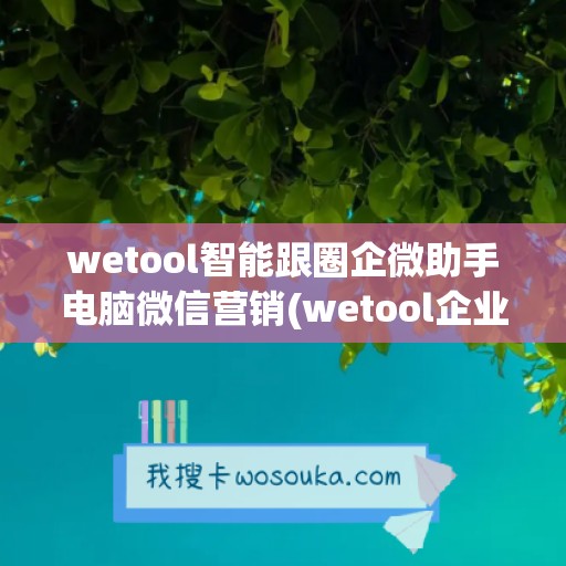 wetool智能跟圈企微助手电脑微信营销(wetool企业版官网)