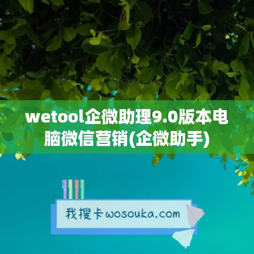 wetool企微助理9.0版本电脑微信营销(企微助手)