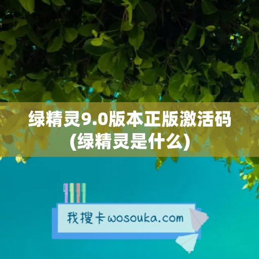 绿精灵9.0版本正版激活码(绿精灵是什么)