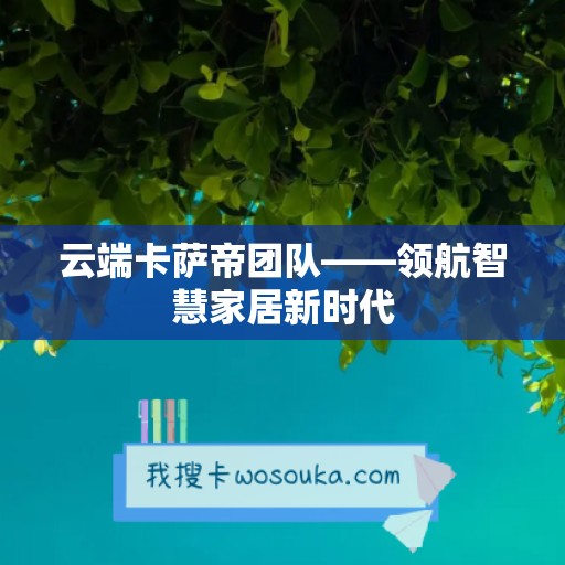 云端卡萨帝团队——领航智慧家居新时代