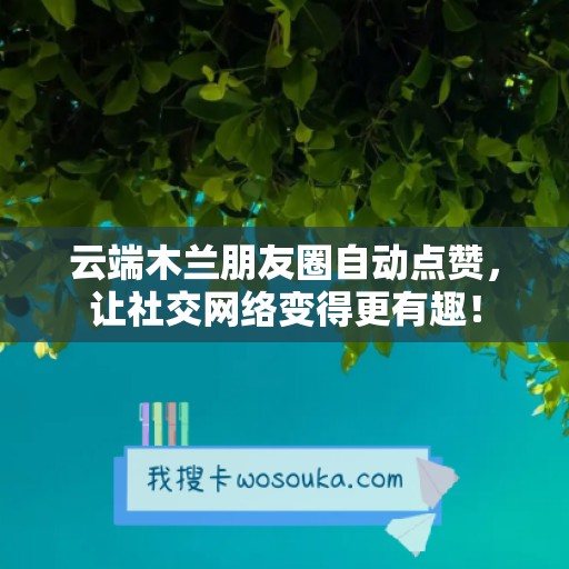 云端木兰朋友圈自动点赞，让社交网络变得更有趣！