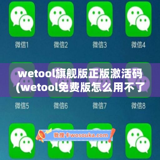 wetool旗舰版正版激活码(wetool免费版怎么用不了)