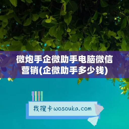 微炮手企微助手电脑微信营销(企微助手多少钱)