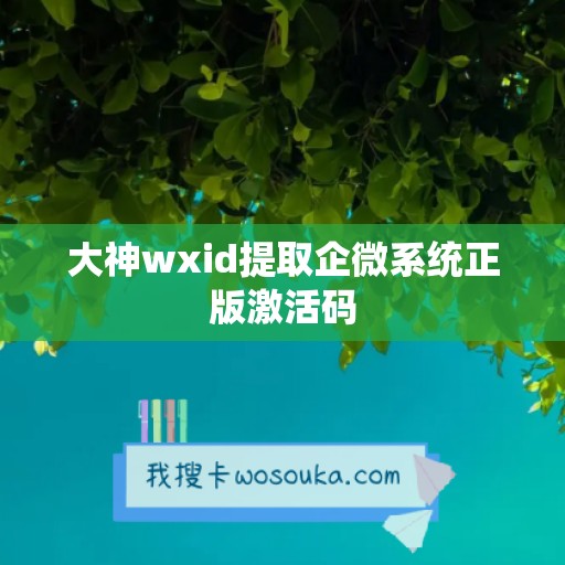 大神wxid提取企微系统正版激活码