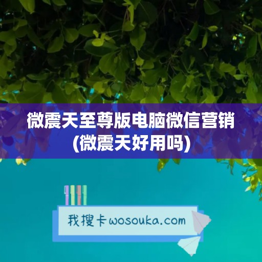 微震天至尊版电脑微信营销(微震天好用吗)